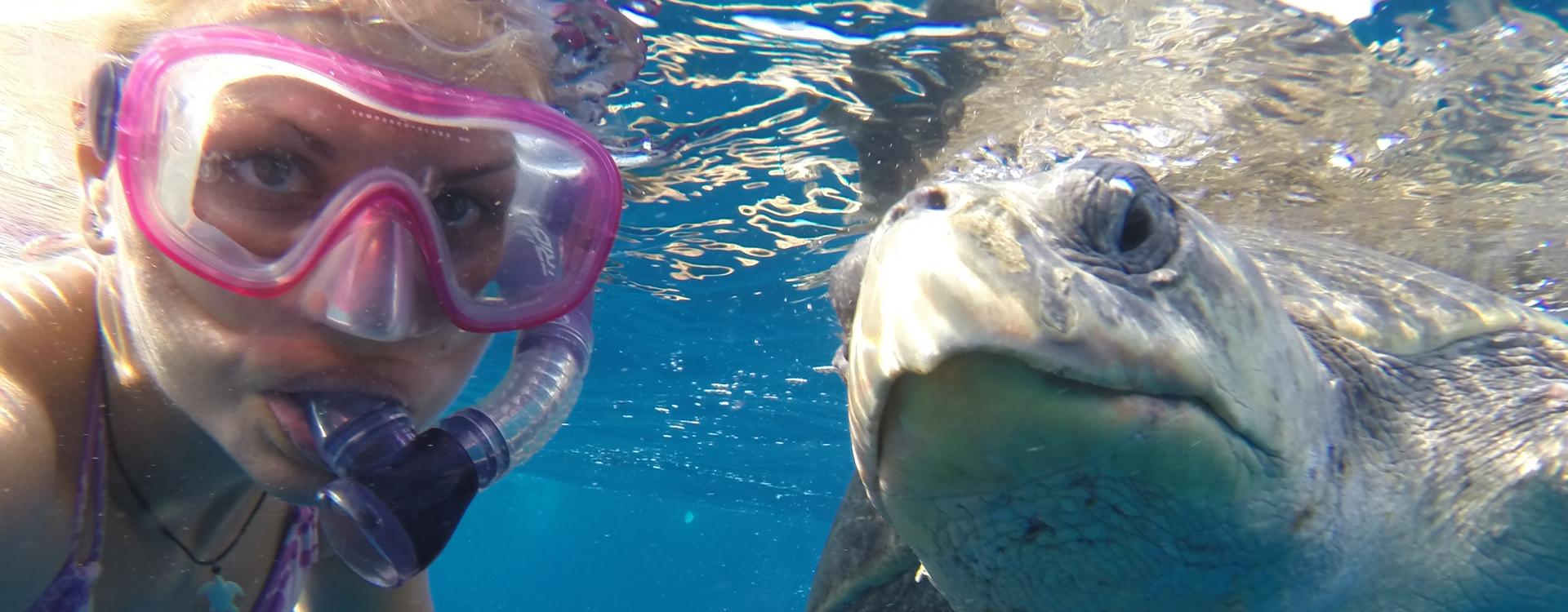This marine conservationist hides sea turtle eggs in order to save them